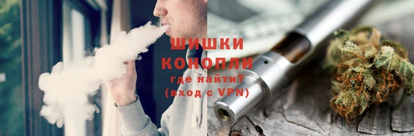 гашик Арсеньев