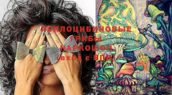 бошки Алексеевка